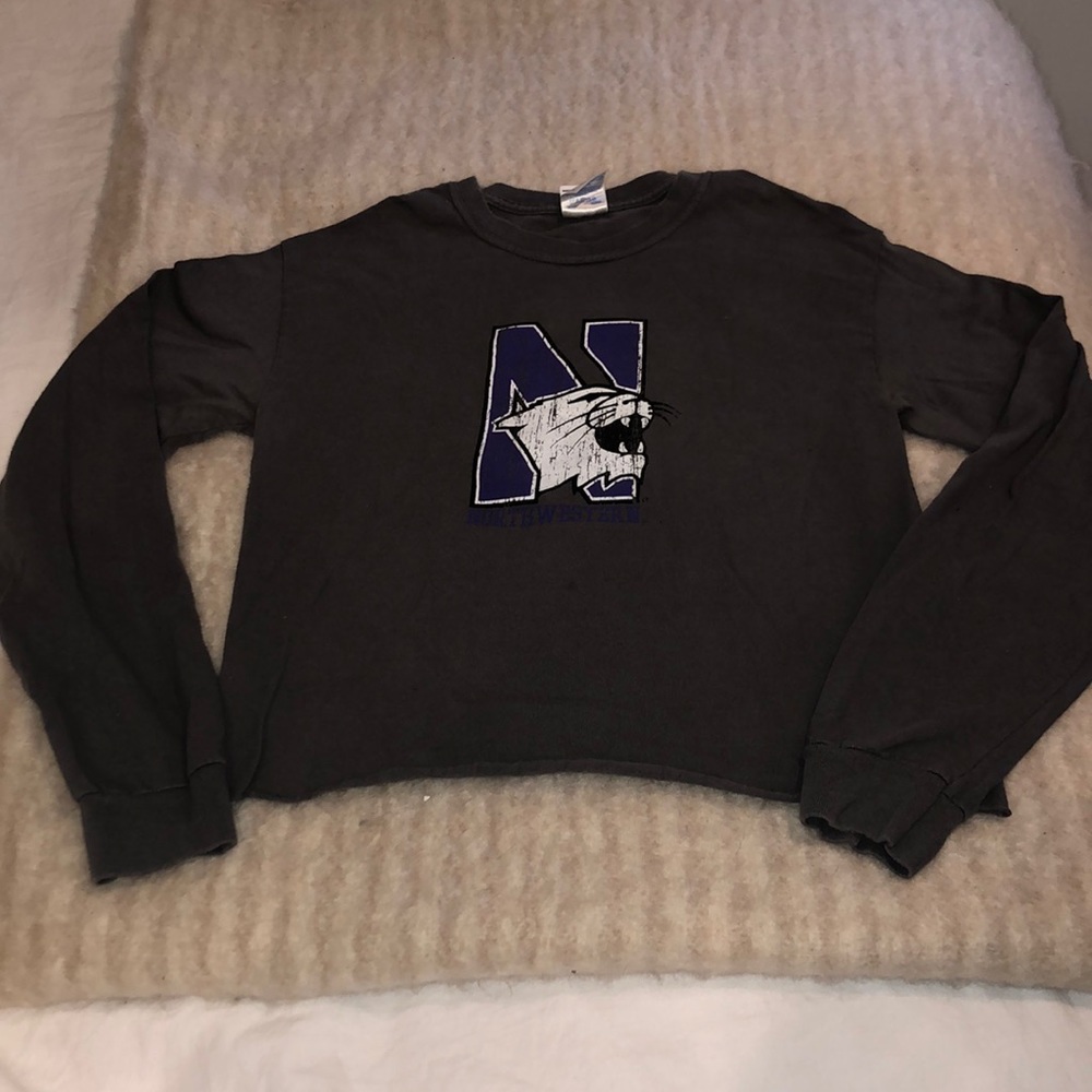 Northwestern University t-shirt